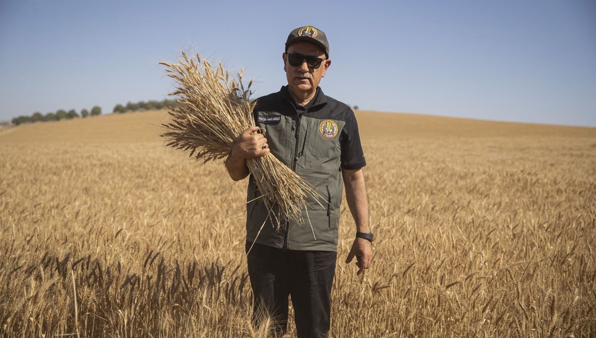 Bakan Kirişci tohumluk buğday, arpa ve tritikale fiyatlarını açıkladı