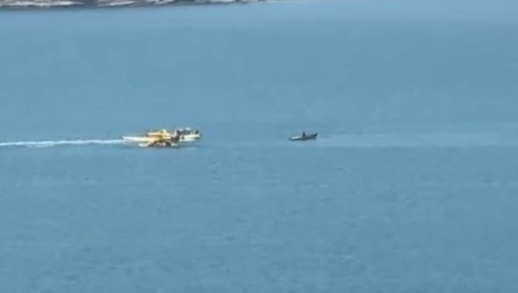 Adana'da orman yangını