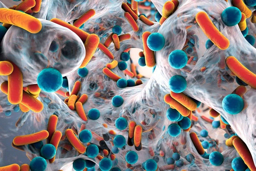 Bilim insanlarından antibiyotik uyarısı: Her gün 3 bin 500 kişi ölüyor - 4