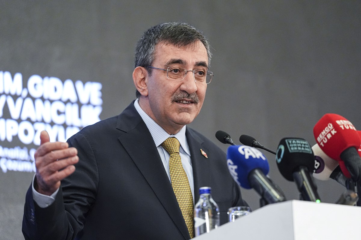 Cumhurbaşkanı Yardımcısı Cevdet Yılmaz, Plan ve Bütçe Komisyonu