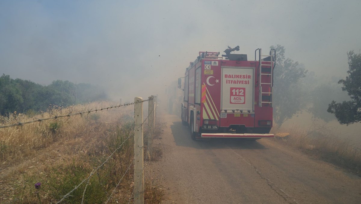 Edremit'te zeytinlik alanda yangın