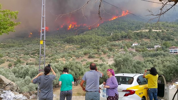 YERLEŞİM YERLERİNİ TEHDİT EDİYOR 11 Aydın / Çine