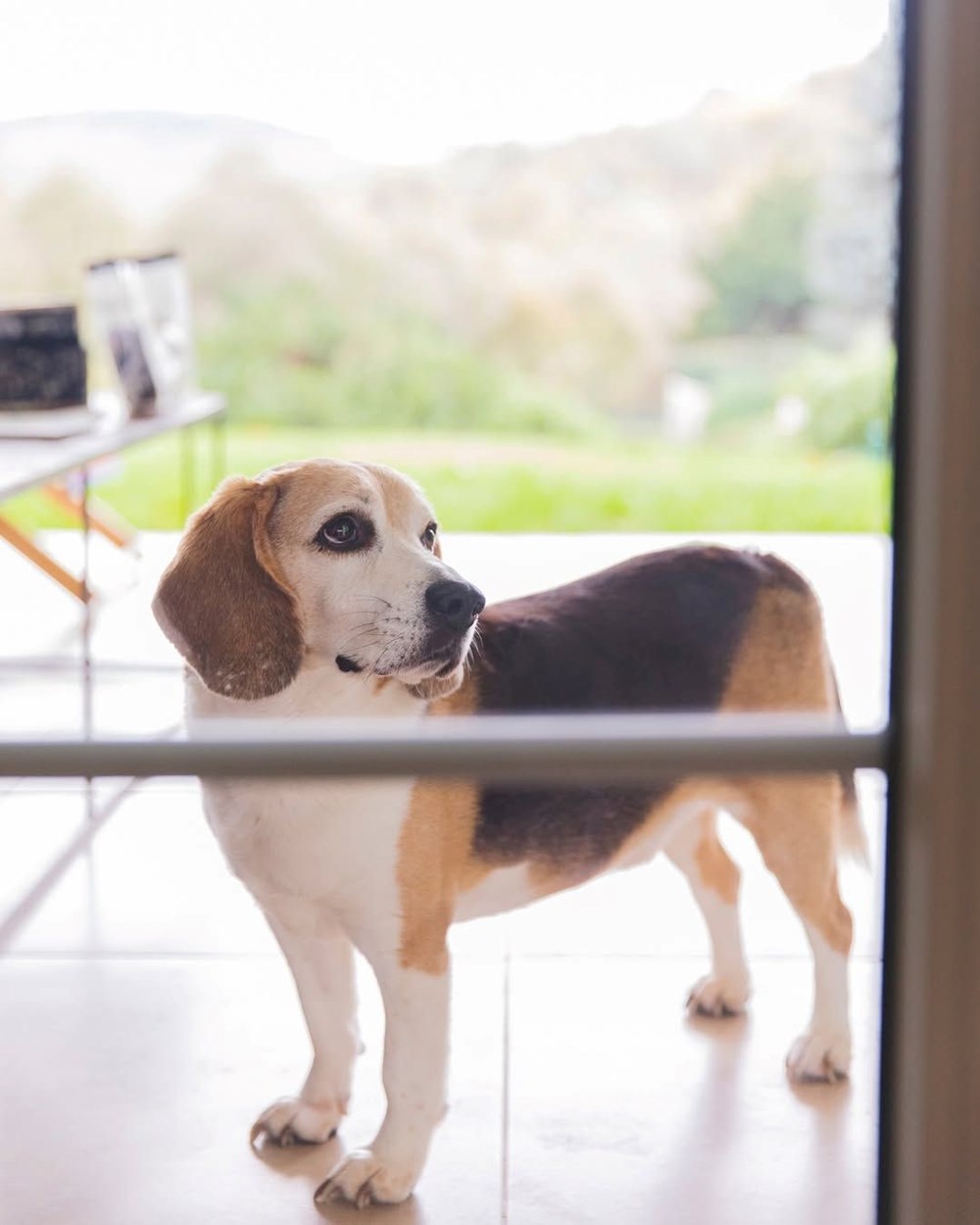 vxKxj0QwyEG3YYuTeMkQlQ.jpg