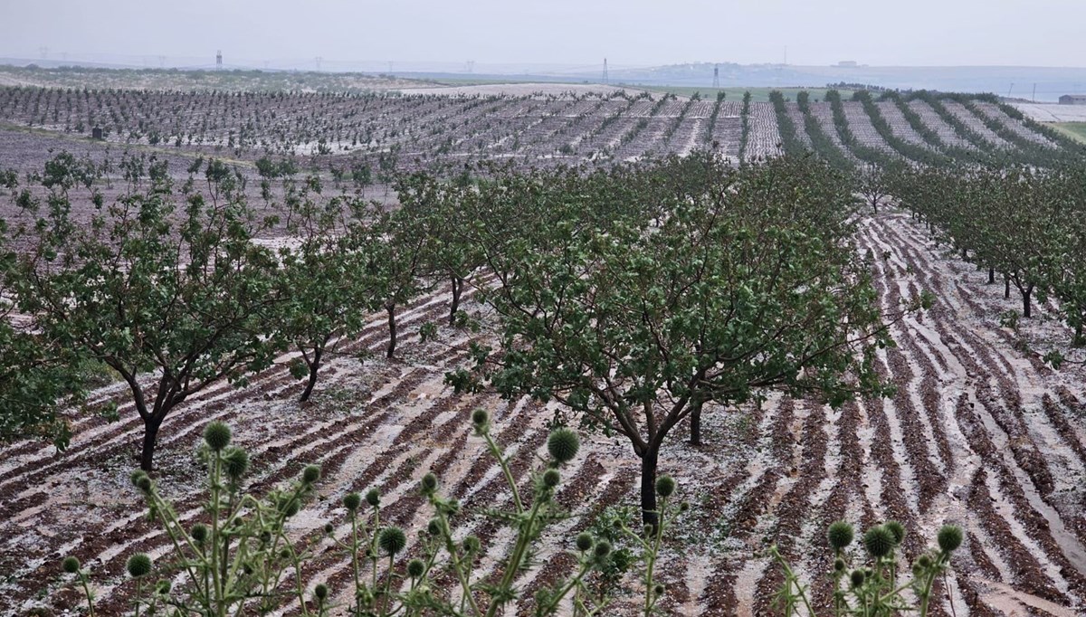 Şanlıurfa'da dolu