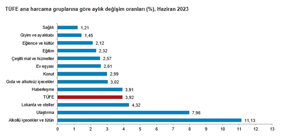 Haziran enflasyonu açıklandı (2023 TÜİK Haziran ayı TÜFE verileri) - 2