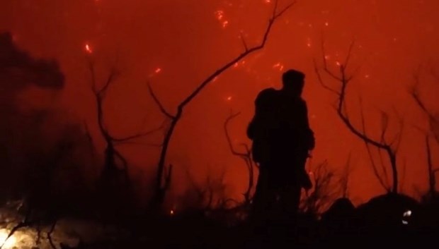 667 πυρκαγιές σημειώθηκαν στην Ελλάδα σε δύο εβδομάδες – Last Minute World News