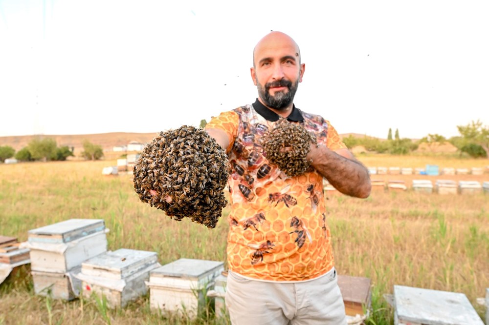 "Arı Adam"ın Guinness Rekorlar Kitabı hayaline ramak kaldı - 2