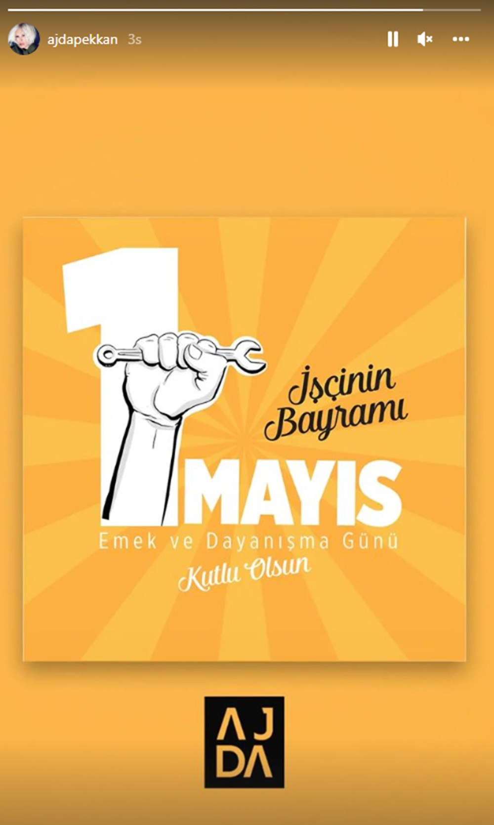 Ünlülerden 1 Mayıs Emek ve Dayanışma Günü mesajları - 20