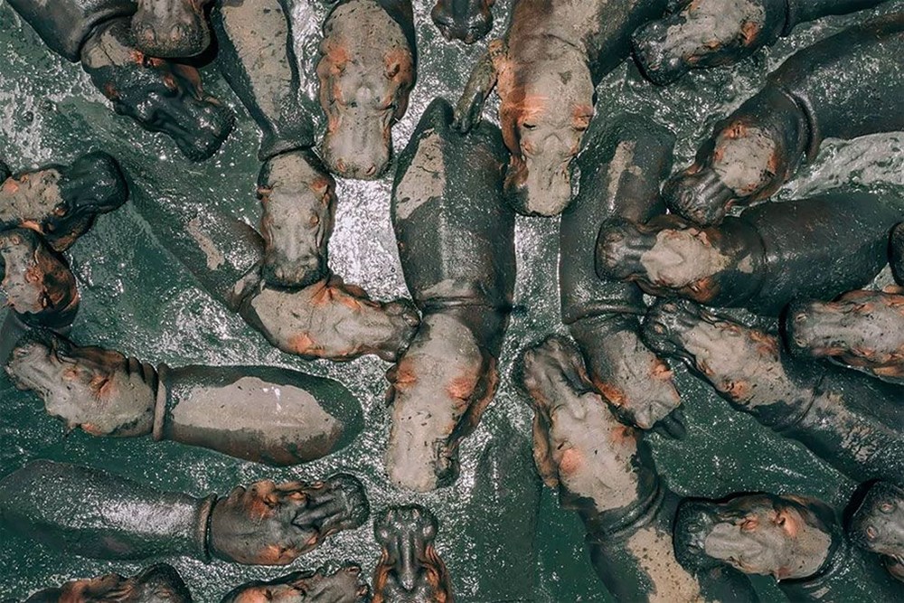 2018'in en iyi drone fotoğrafları - 1