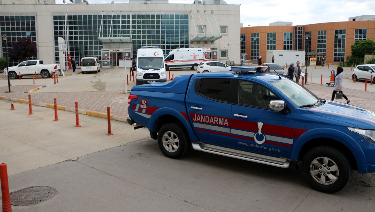 11 yaşındaki çocuğa ayı saldırdı 11 yaşındaki çocuğa ayı saldırdı
