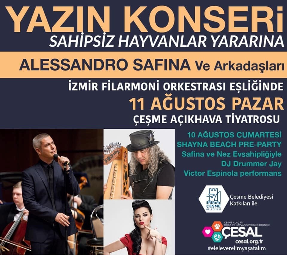 Dünyaca ünlü İtalyan tenor Alessandro Safina sokak hayvanları için geliyor - 1