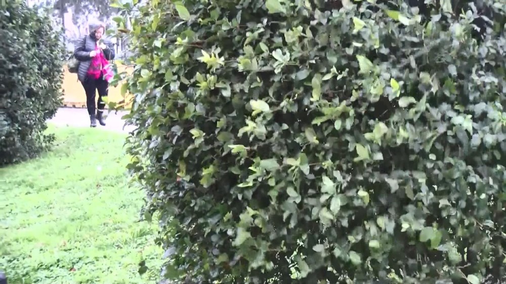 Beylikdüzü'nde kar Taksim'de karla karışık yağmur - 9