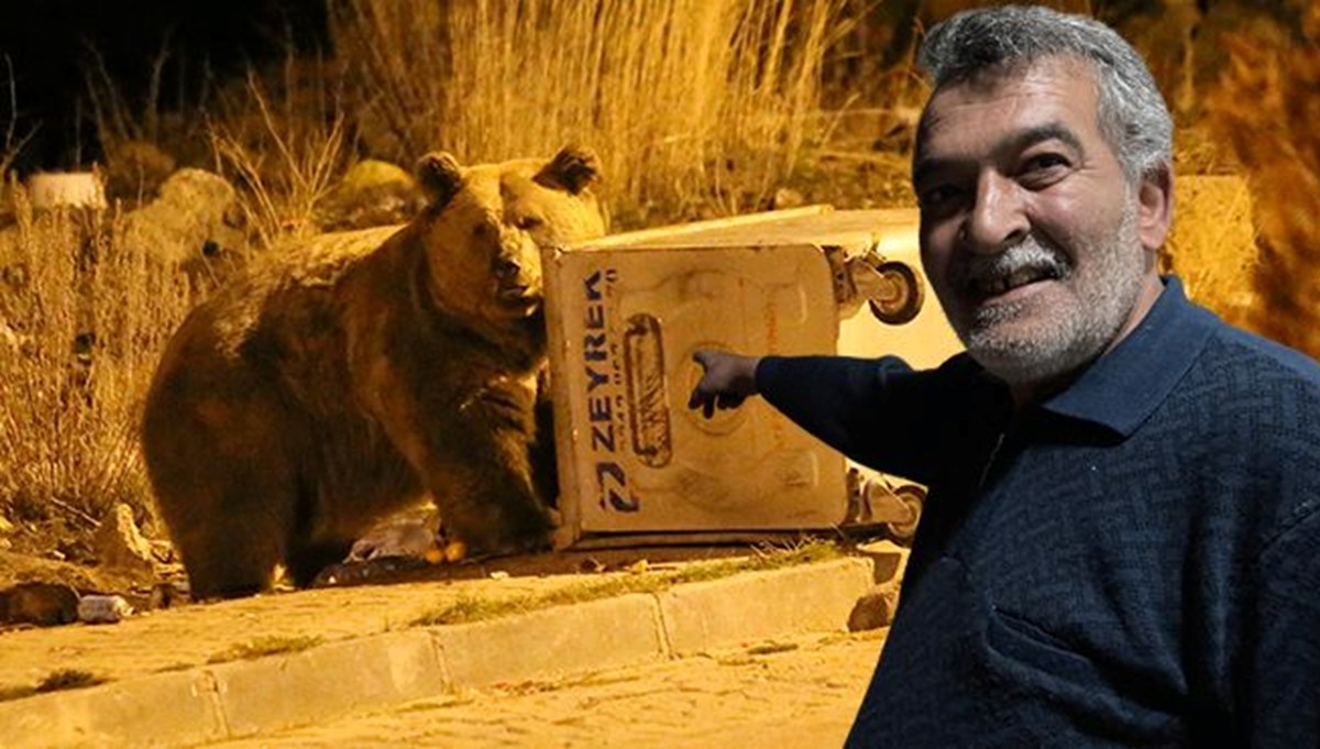Dünyada tek göç edebilen ayı türü: Sarıkamış'ta çöpten beslenirken görüntülendi Dünyada tek göç edebilen ayı türü: Sarıkamış'ta çöpten beslenirken görüntülendi