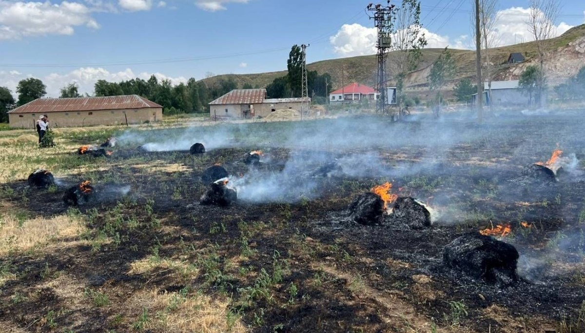 Bin 500 bağ ot kül oldu
