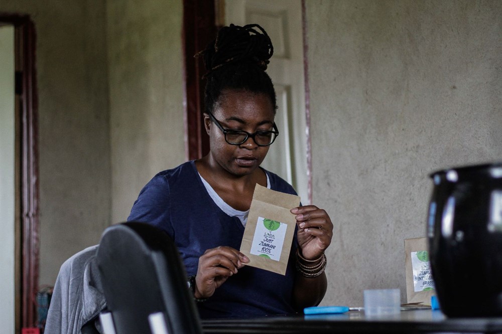 Zumbani, the plant the African country hopes for: We would be dead if we didn't use it - 21