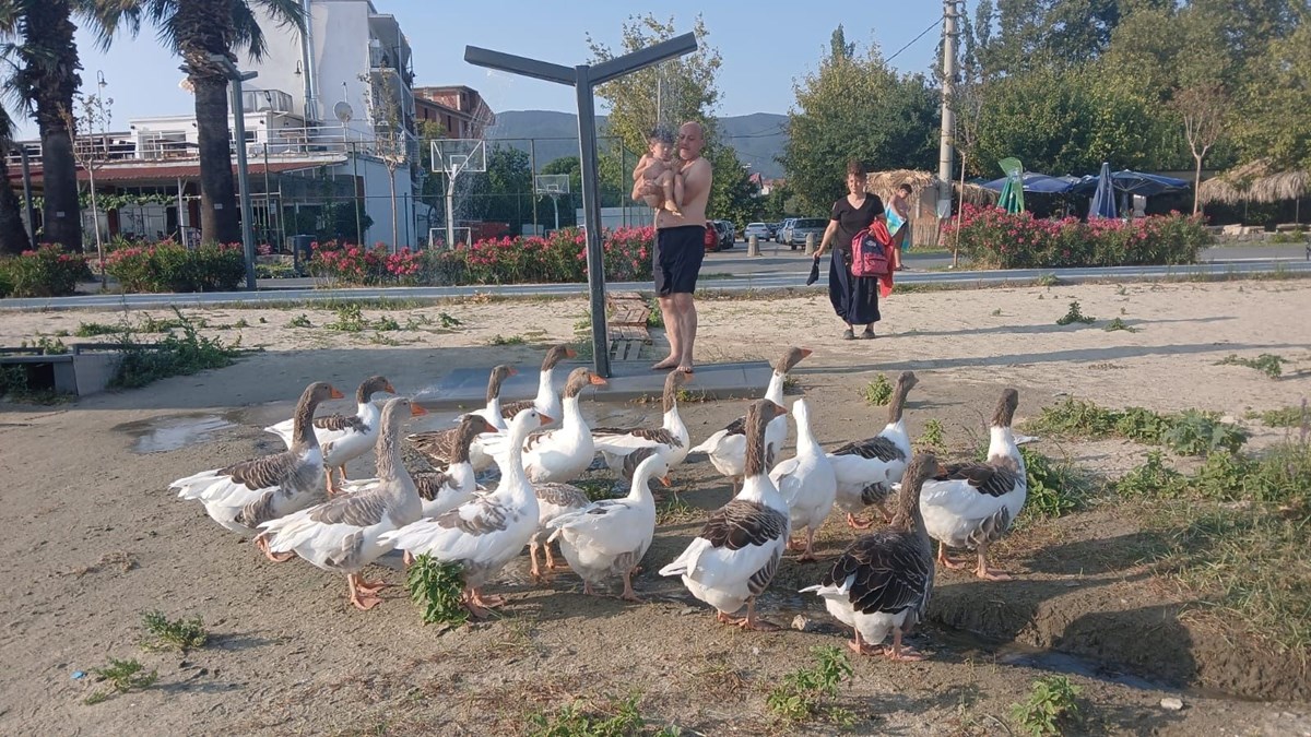 wBXWKpfZNUeA1QVbv38GaA.jpg