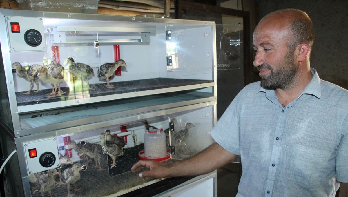 Çiftliği evine taşıdı, 8 kişilik ailesine bakıyor: Haftada 25-30 civciv üretiyor Çiftliği evine taşıdı, 8 kişilik ailesine bakıyor: Haftada 25-30 civciv üretiyor