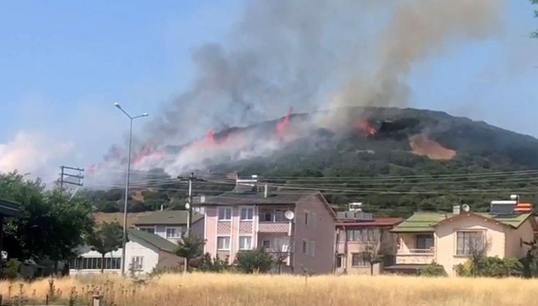 Niksar'da orman yangını