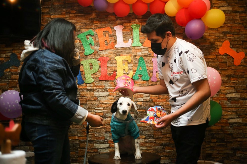 Dünyanın ilk köpek restoranı Bolivya'da açıldı - 7