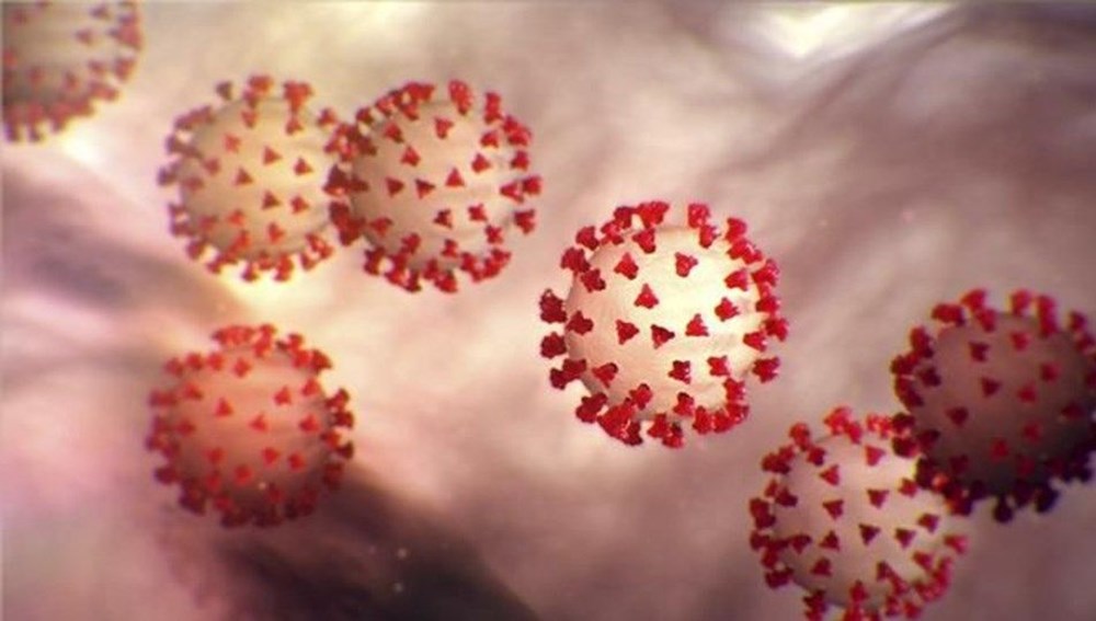 Mutasyonlu corona virüs aşıya dayanıklı hale gelirse ne olacak? - 2