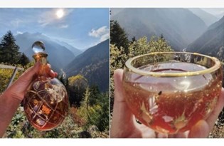 https www ntv com tr dunya eski playboy modelinin sahip oldugu dunyanin en buyuk tavsani darius kacirildi bulana 11 bin lira odul yi9vnxl6rkqkhdbl6vnn1a