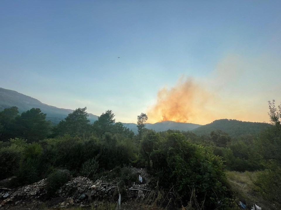 Burdur'da orman yangını - 1