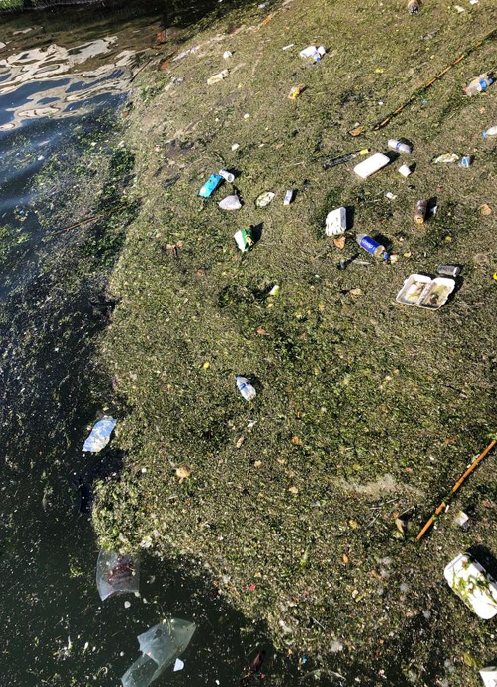 İzmir Körfezi değil,'marul tarlası' - 7