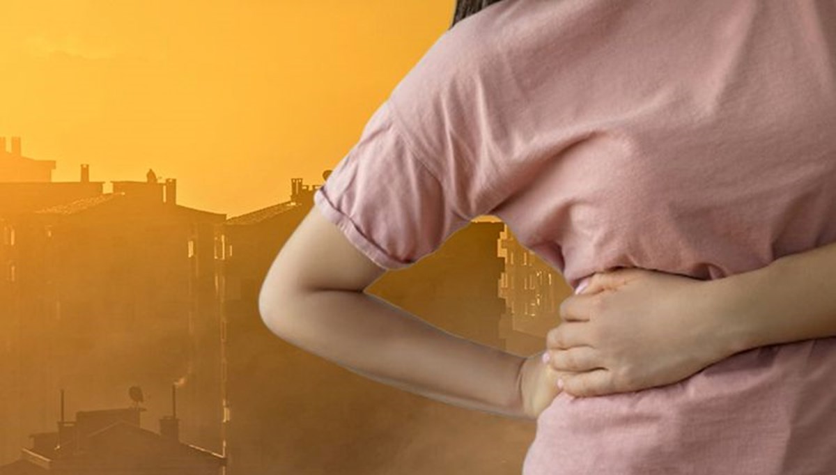 Böbrekleri tahrip ediyor, kanı zehirliyor: Kısa süre maruz kalmak bile tehlikeli Böbrekleri tahrip ediyor, kanı zehirliyor: Kısa süre maruz kalmak bile tehlikeli