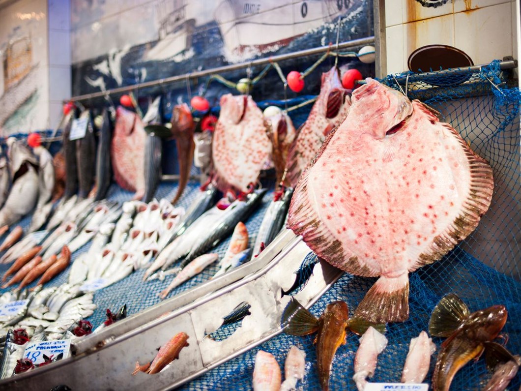 kalkan baligi tezgaha kilosu 250 liradan giris yapti ntv