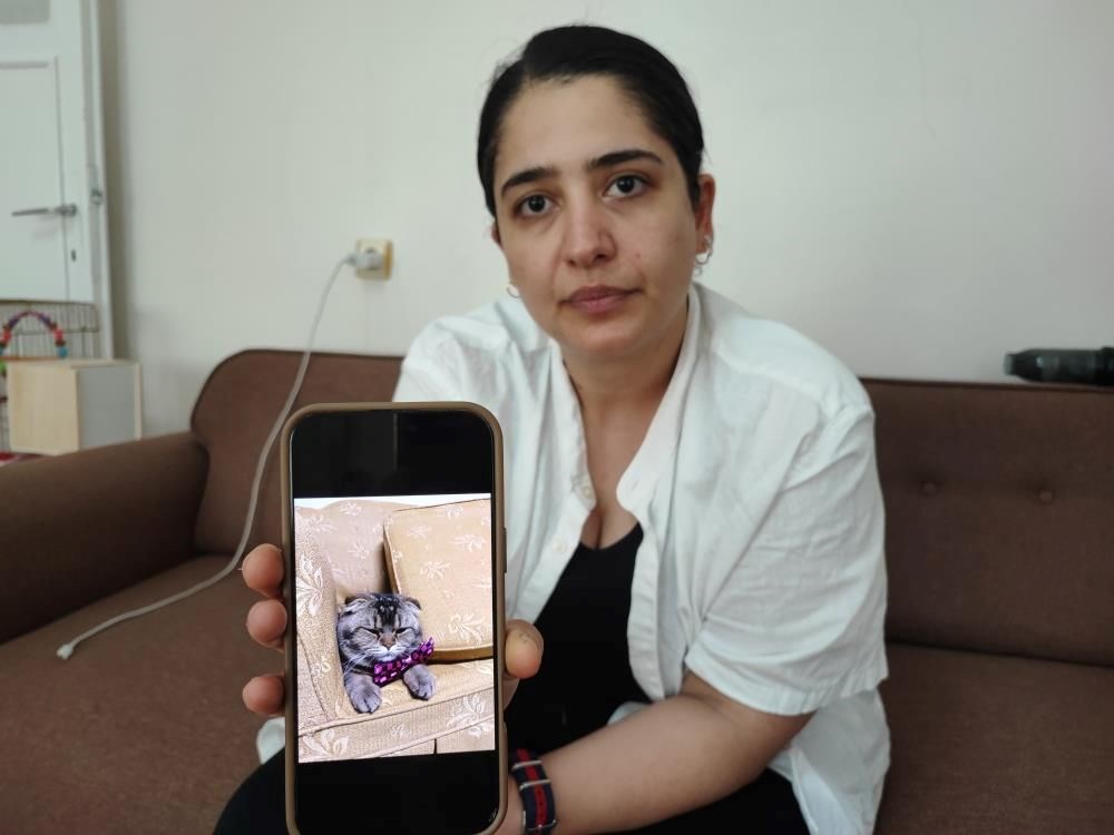 Bu evliliğin kaderi kediye bağlı: "Eşim beni boşayacak" - 2