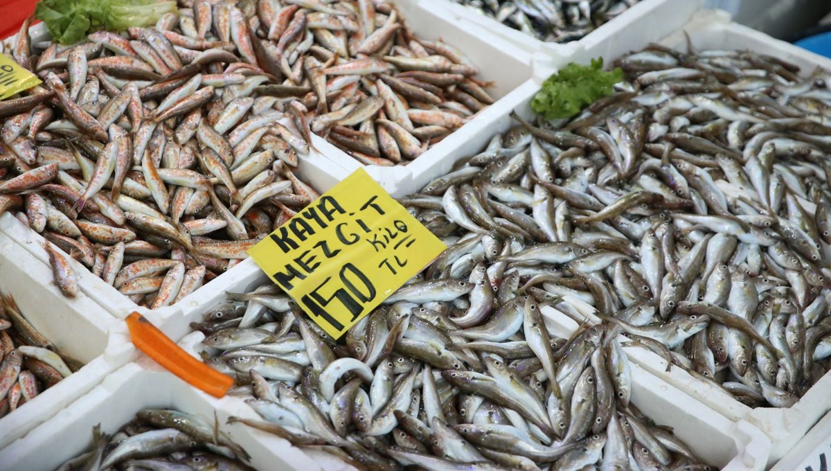 Balıkçılar paydos ediyor