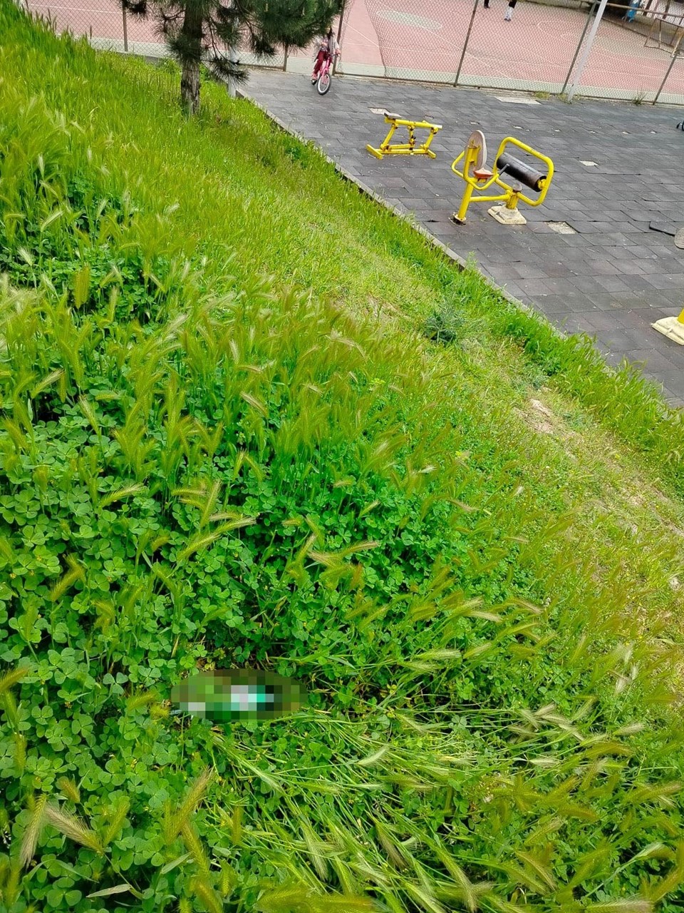 Parkta oynarken alkol şişesini su zannederek içen çocuk fenalaştı - 1