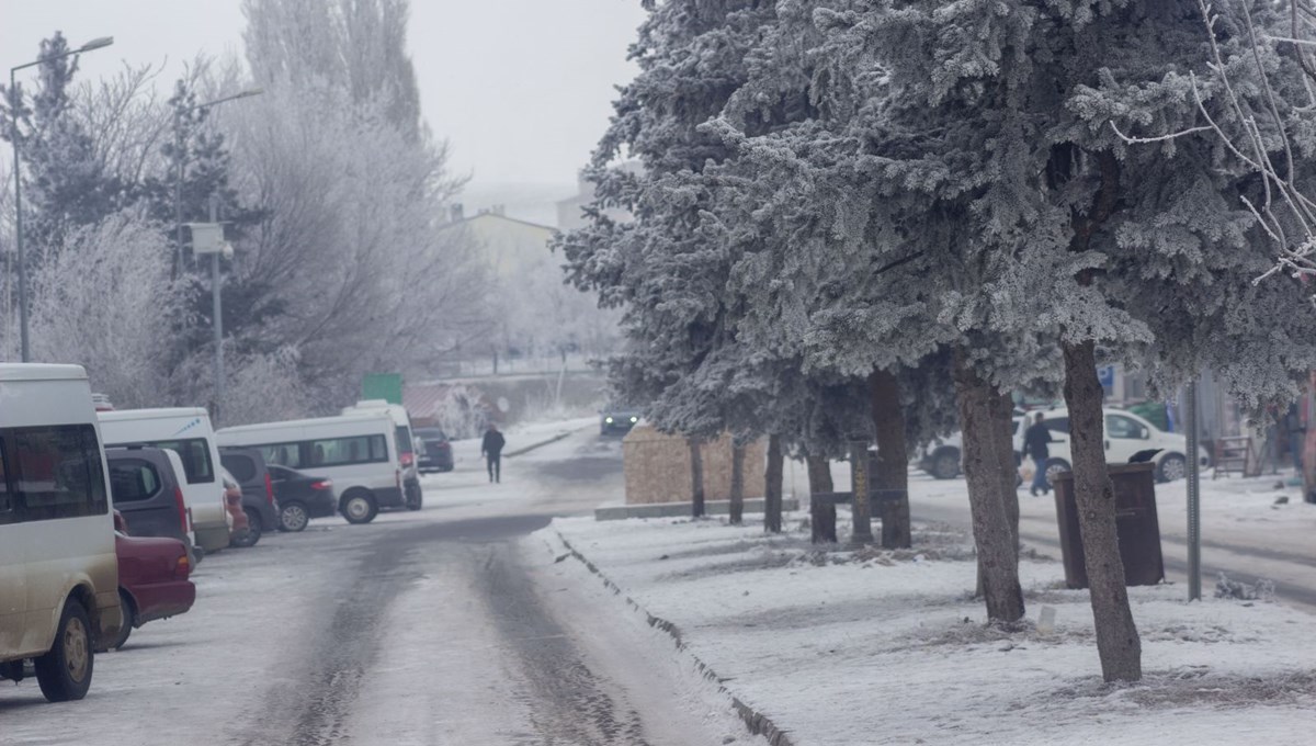 Ardahan'da eksi 25 derece görüldü