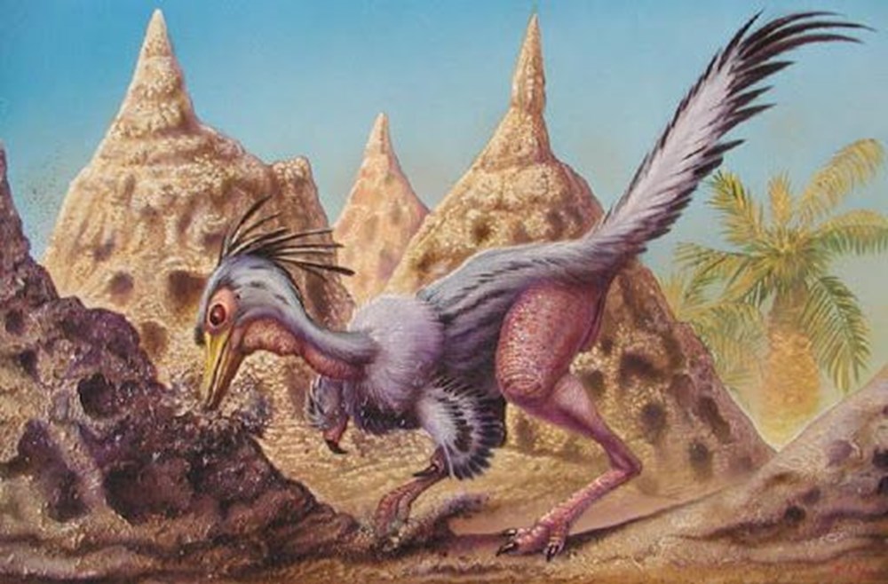 Olağanüstü gece görüşüne ve işitme yeteneğine sahip dinozor türü keşfedildi: Shuvuuia - 7