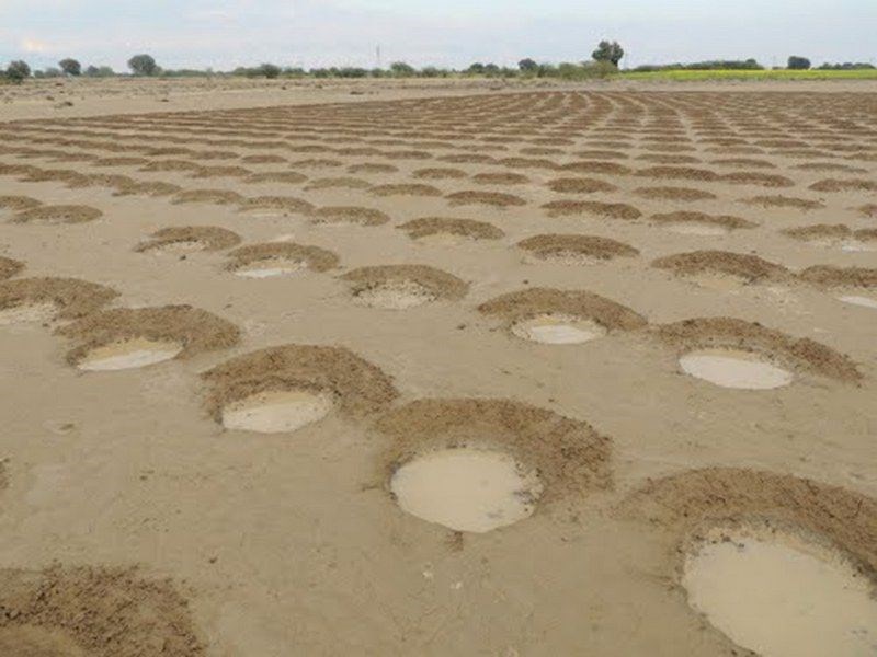 Kuraklığa Karşı Mücadelede