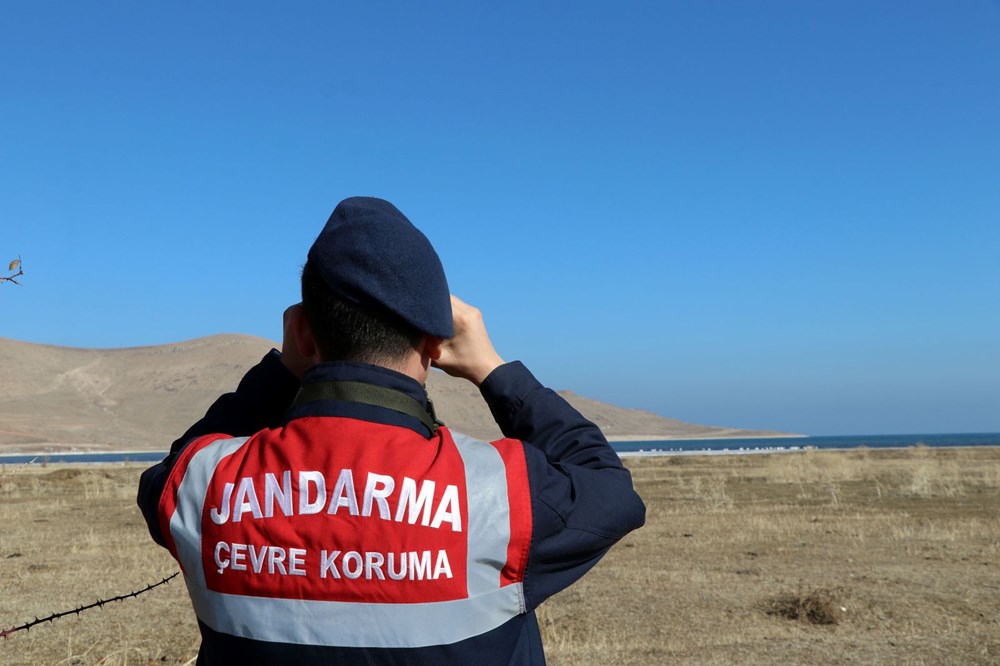 Jandarmanın kuğu nöbeti: Nesilleri tehlike altında - 4