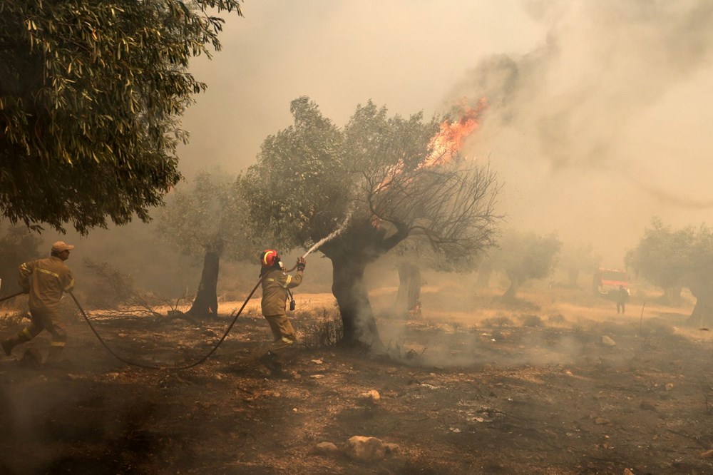 Yunanistan Orman Yangını
