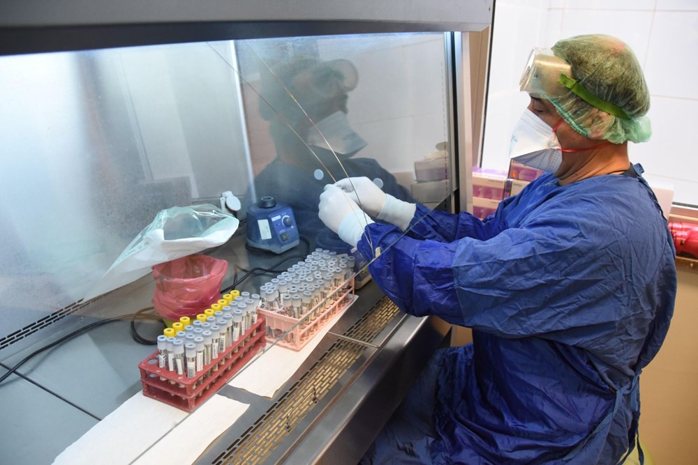 Mutated corona virus cases are detected in 40 minutes - 22