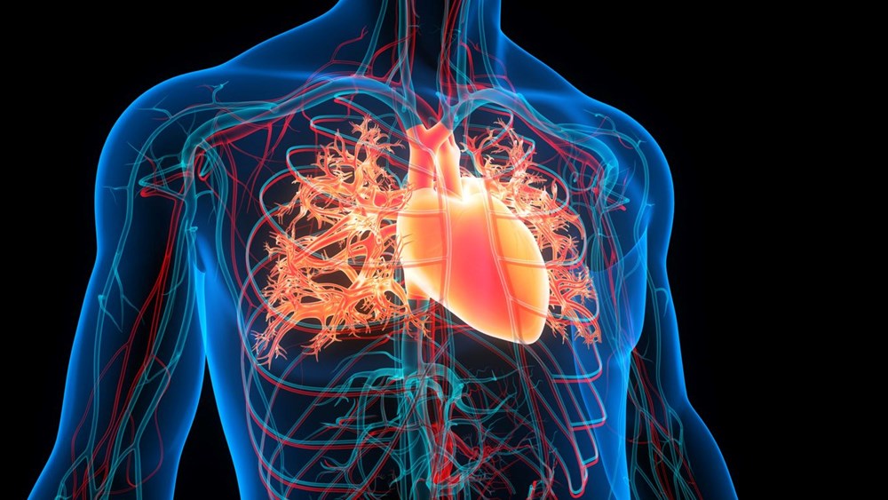 Bilimden Uyarı: Bu Alışkanlık Demans Riskini %36 Artırıyor! 73 wVKh978JTUibgwQkJZ0ong