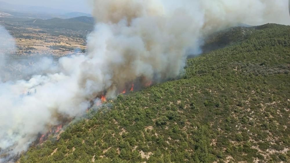 Bodrum'da orman yangını: Alevlere havadan ve karadan müdahale ediliyor - 2