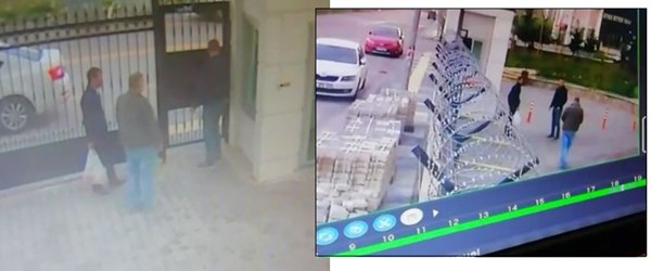 Ankara'daki köpek katliamında 'kiralık katil' iddiası