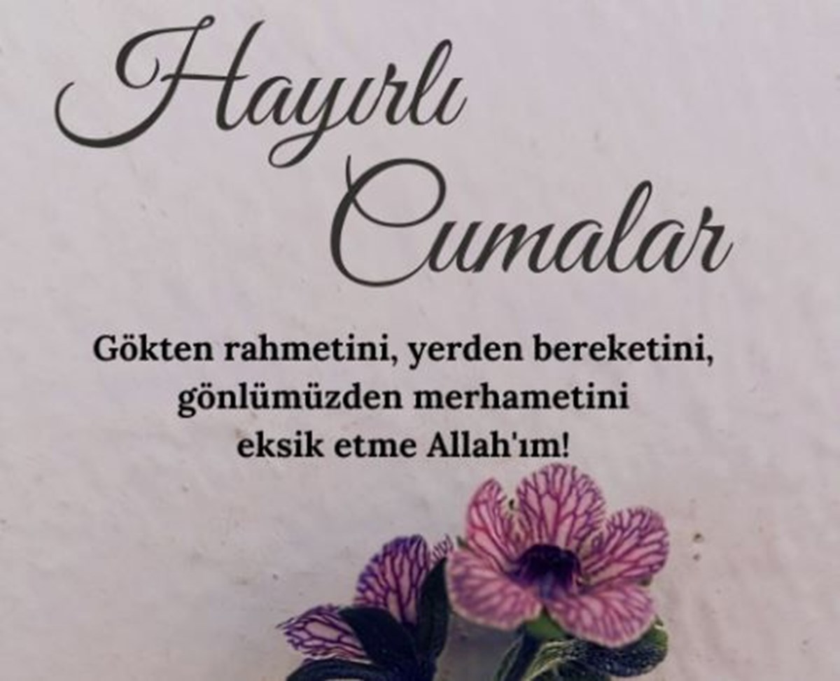 wYONqjft7U2OBZaw4dKItA.jpg