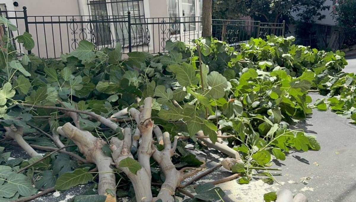 İstanbul'u fırtına vurdu: Ağaçlar devrildi, iki kişi yaralandı