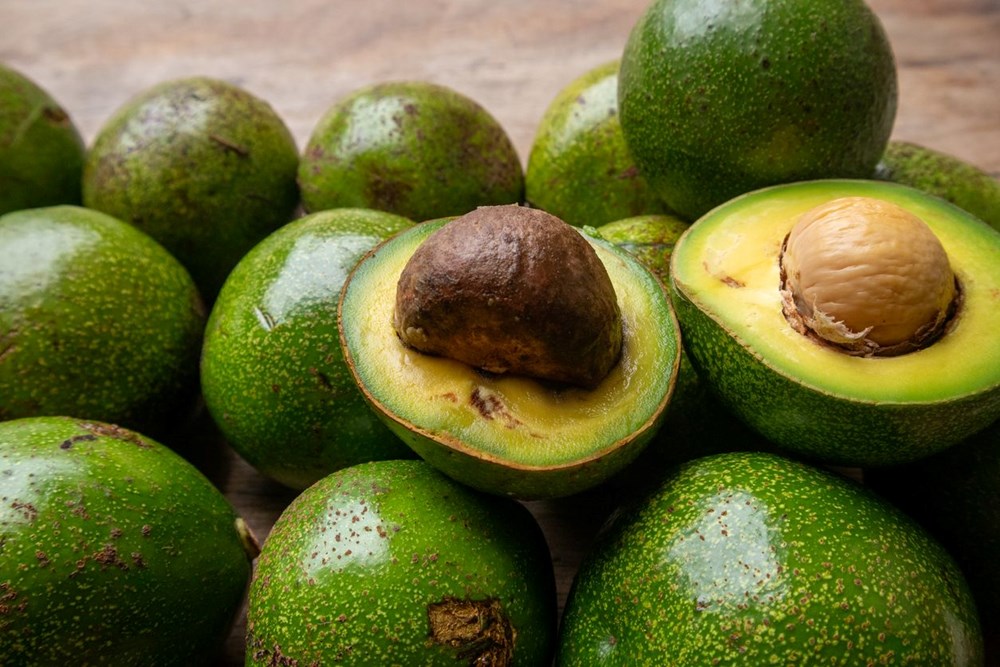 Avokado çekirdeğini çöpe mi atıyorsunuz? Oysaki bu türlü bir yararı varmış 72
