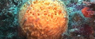 Thomson Reuters Foundation Thomson Reuters Foundation News, News from Thomson Re