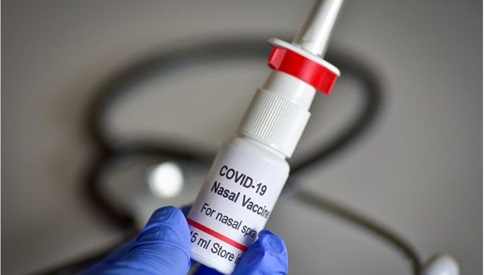 Yerli sprey aşıda "mutant virüs" ayrıntısı - Son Dakika Türkiye Haberleri |  NTV Haber