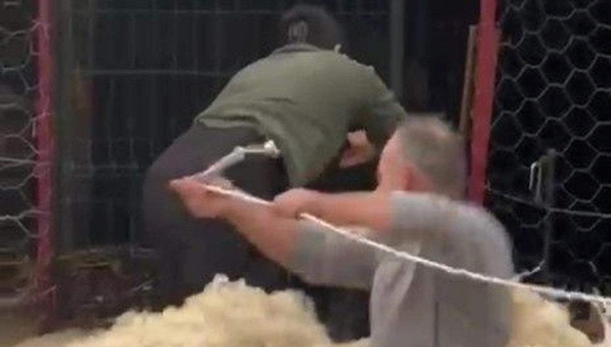 Sel sularının arasında kalan köpeği kurtarmak için seferber oldular Sel sularının arasında kalan köpeği kurtarmak için seferber oldular
