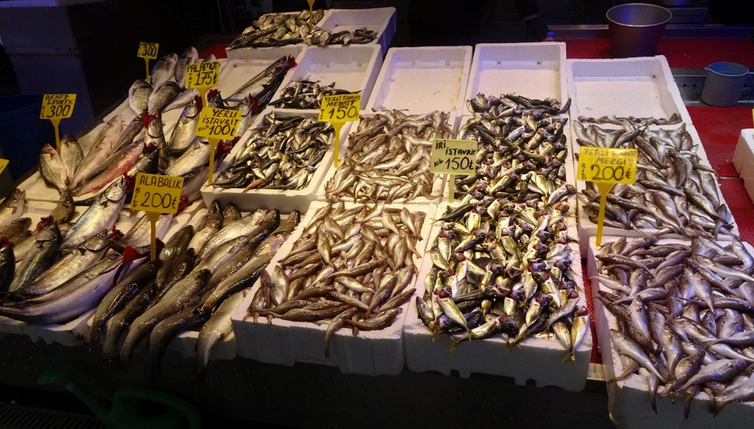 Hava muhalefeti hamsiyi vurdu! Fiyatı neredeyse 2 kat arttı