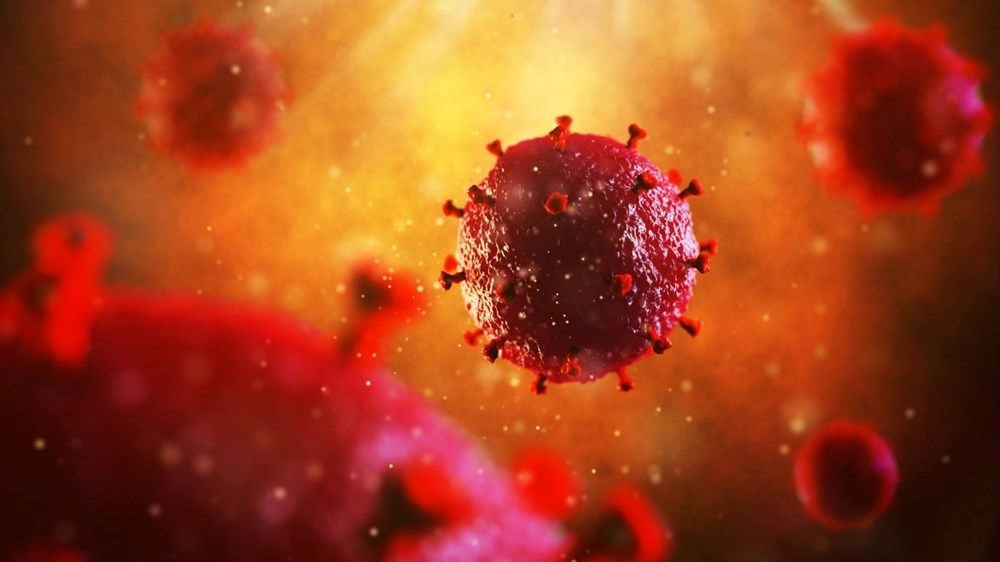 AIDS'in kesin tedavisinde önemli gelişme: HIV taşıyan makaklar kök hücre nakliyle tedavi edildi - 6