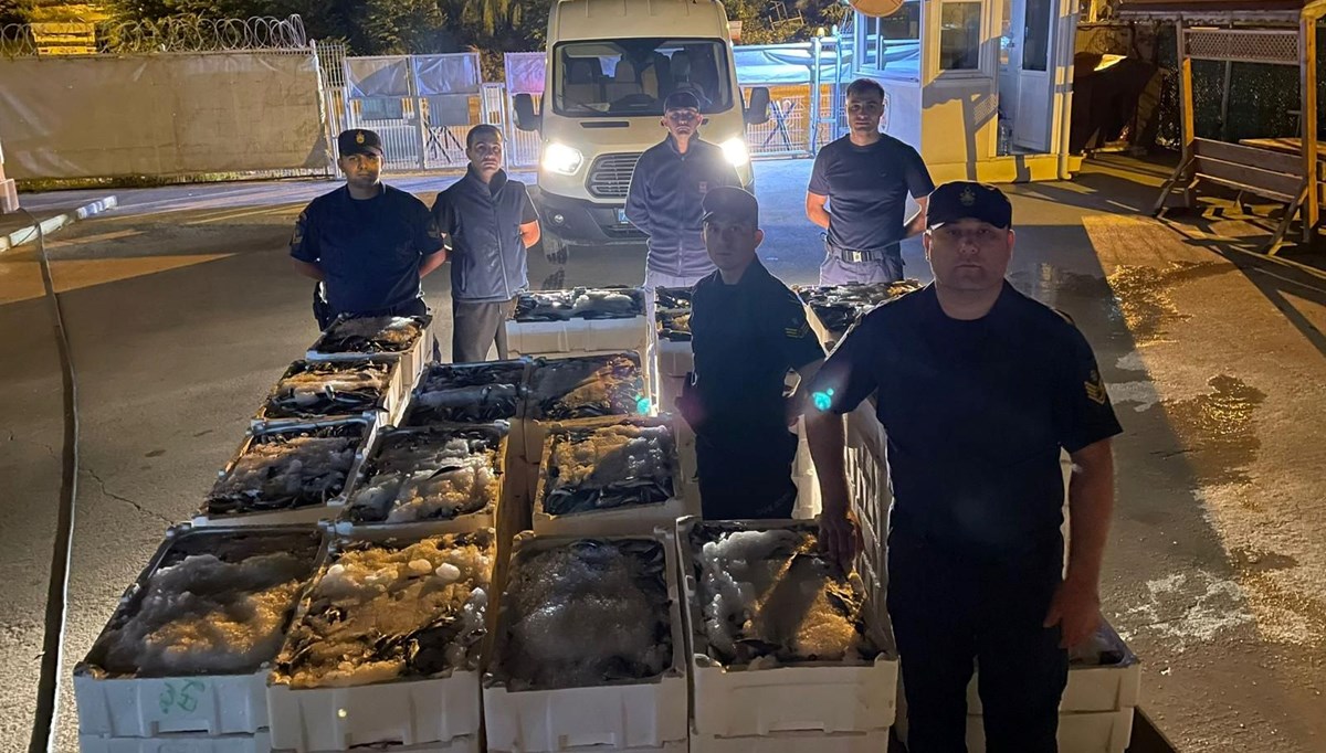 Kastamonu'da limit altında avlanan 162 kasa balığa el konuldu Kastamonu'da limit altında avlanan 162 kasa balığa el konuldu
